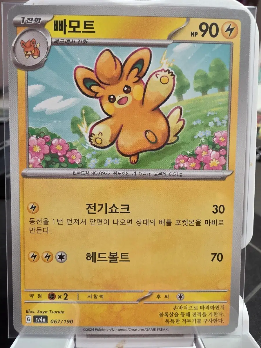 포켓몬 카드 빠모트 067/190