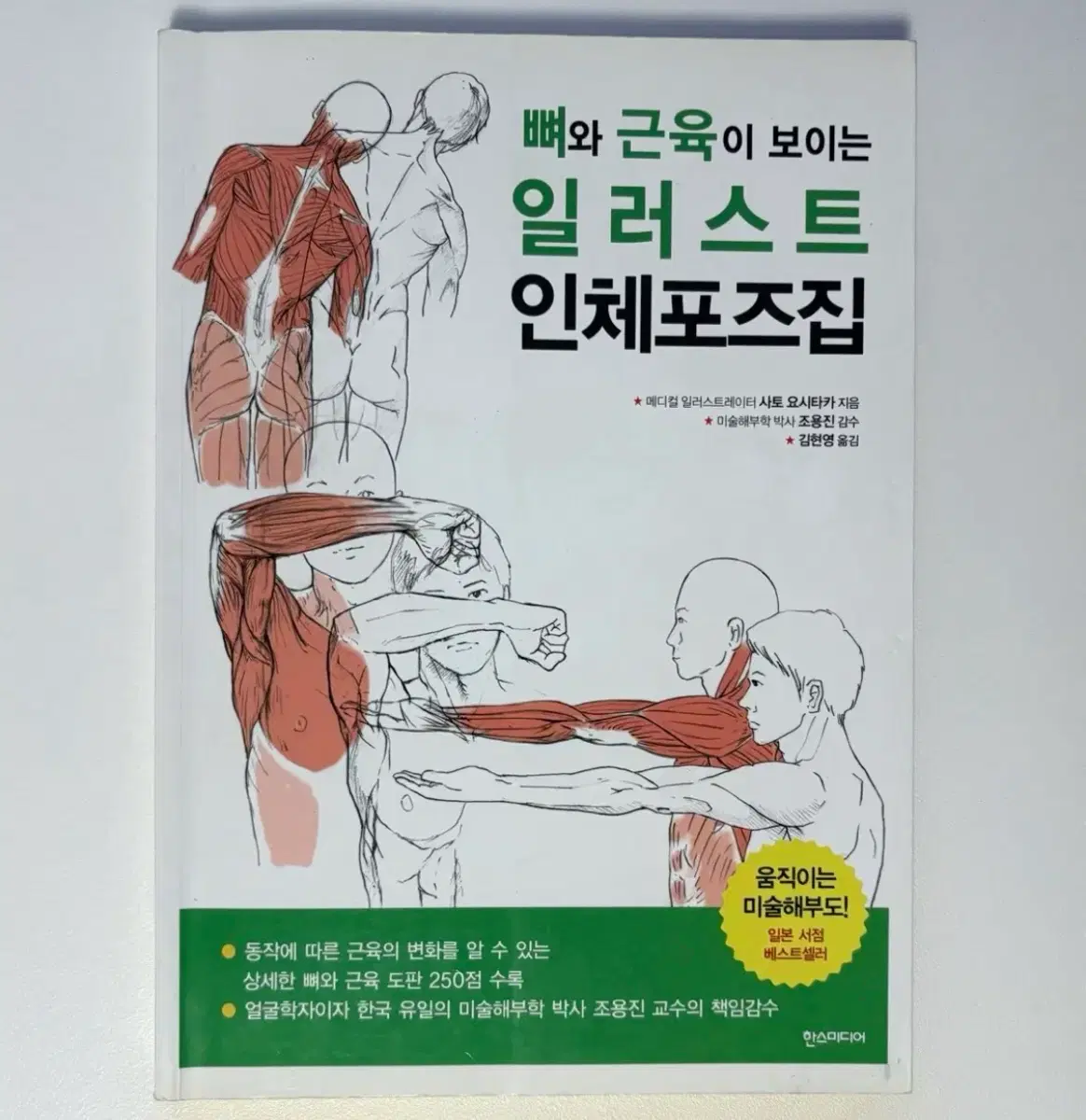 뼈와 근육이 보이는 일러스트 인체포즈집
