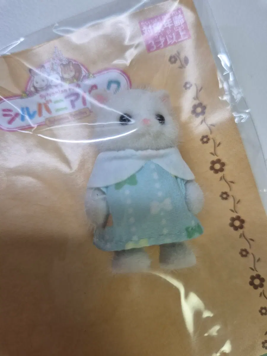 실바니안 파크 페르시안 직립 아기
