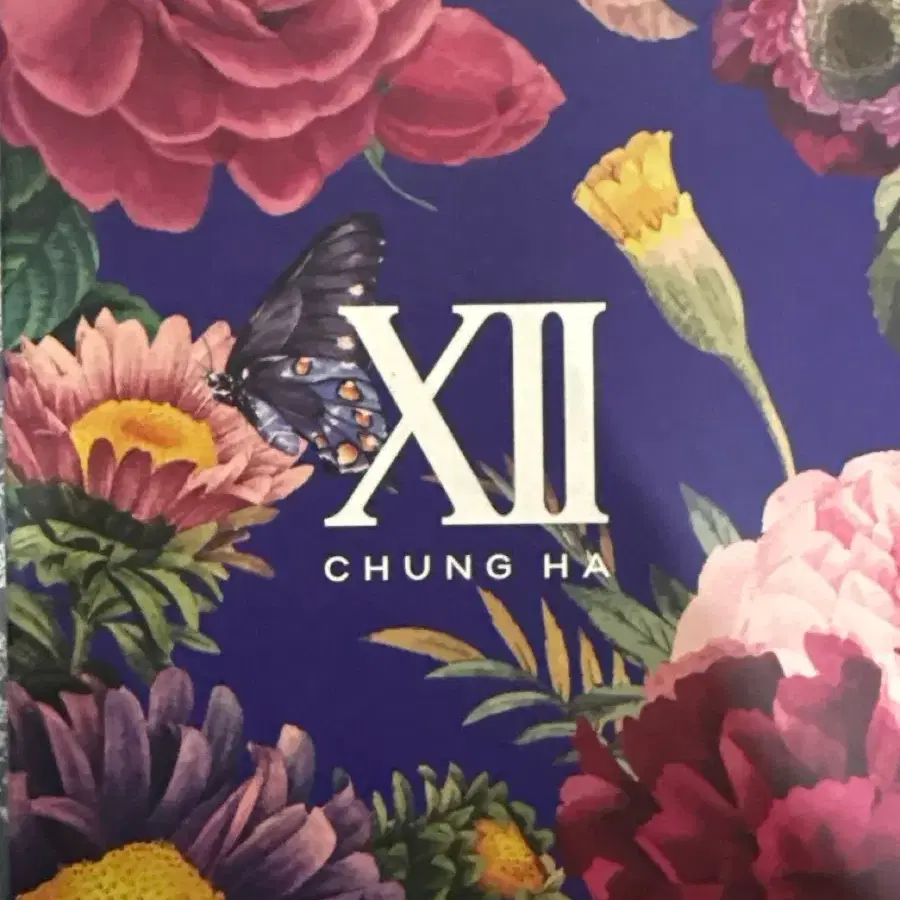 청하 XII 앨범 한정판(벌써 12시) 판매합니다