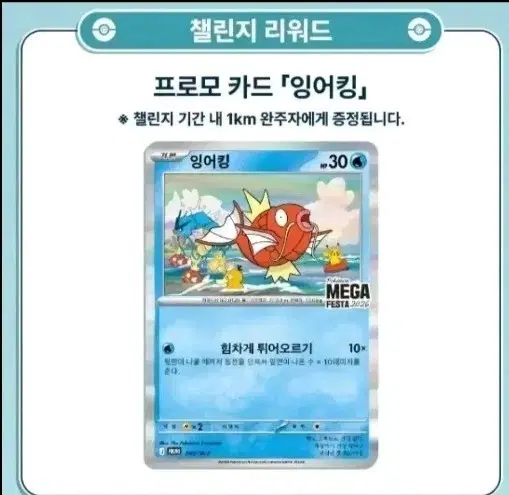 포켓몬 카드 잉어킹 프로모 카드 미개봉 카드 팝니다
