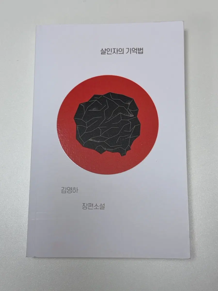 살인자의 기억법 김영하 장편소설