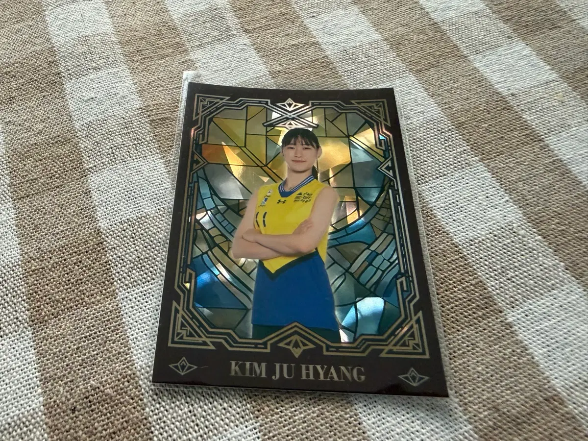SCC KOVO 카본 글로시 현대건설 김주향