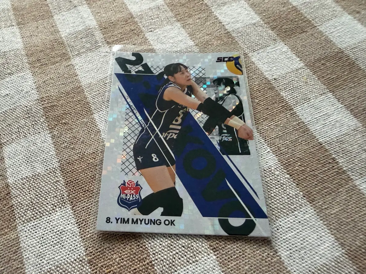 SCC KOVO 카본 스포티 도로공사 임명옥