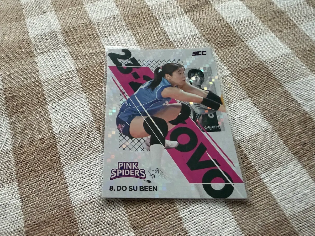 SCC KOVO 카본 스포티 흥국생명 도수빈