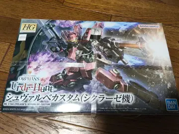 HG 1/144 슈발베 커스텀 (시크라제기)