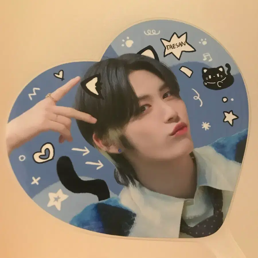 보넥도 태산 우치와