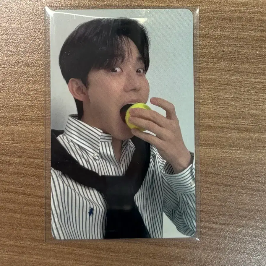 데이식스 도운 welcome to the show 4만원 포카