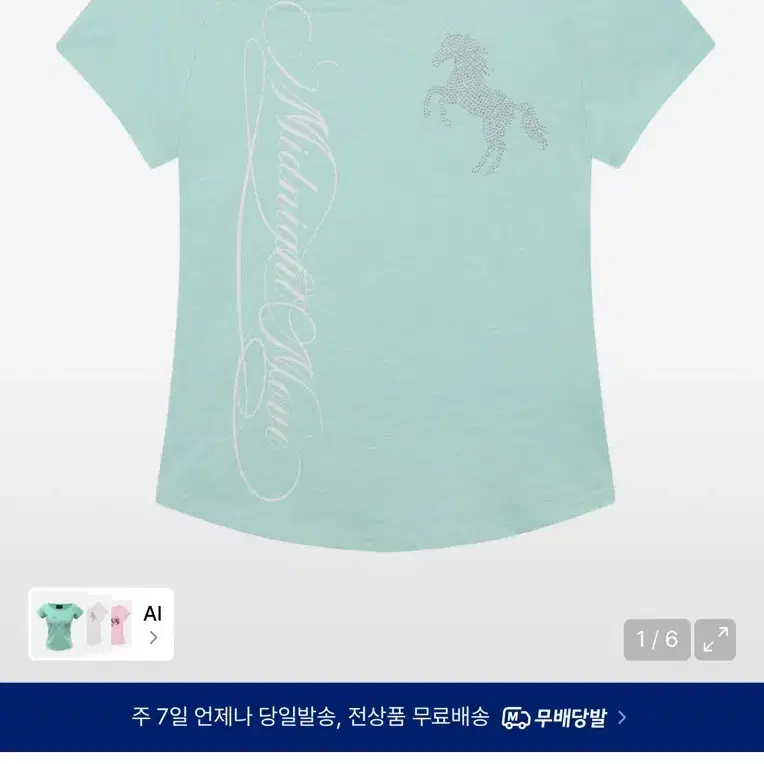 새상품! 미드나잇무브 홀스 티 cb horse t (mint)