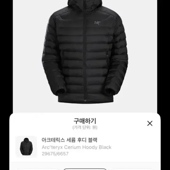 아크테릭스 세륨 후디 블랙 교환 및 판매