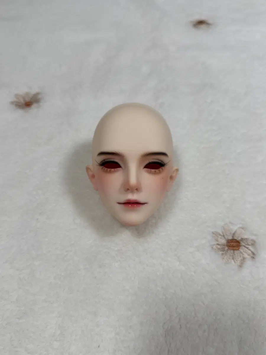 Tddoll 두샤오쥐 70 핑크노멀 디폴메