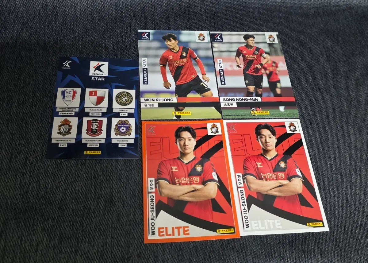 2024 K리그 파니니 경남 FC 카드 5장 일괄