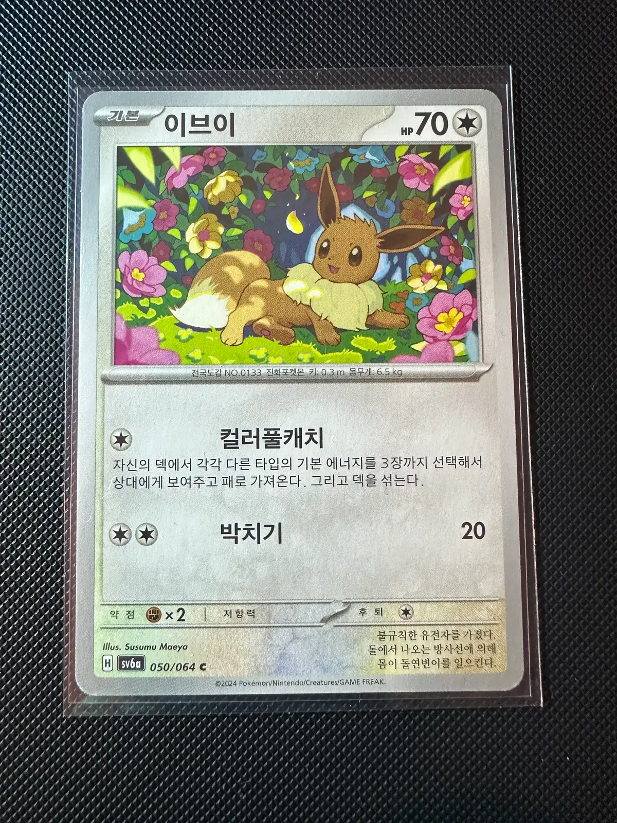 [포켓몬 카드 일판] 너무 이쁜 이브이 일반카드 데려가세요
