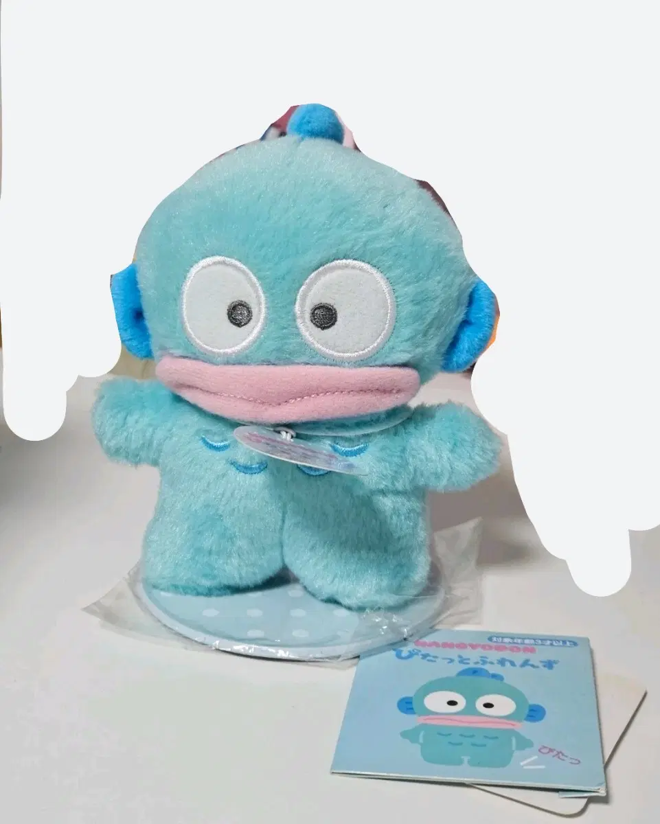 한교동 피탓토