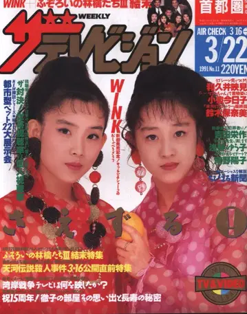 더 텔레비전 1991년 3월 22일호 (수도권 관동판) 11