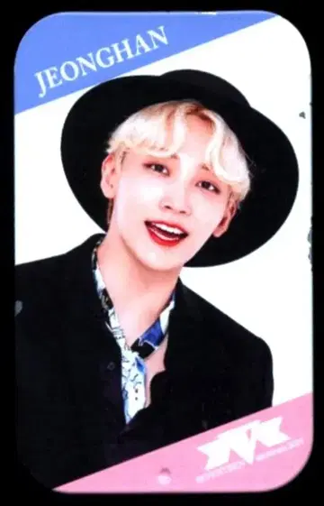 SEVENTEEN 2019 SEVENTEEN museum JEONGHAN 미니 캔 케이스