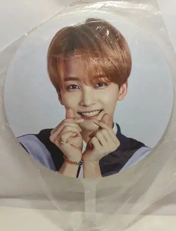 SEVENTEEN 2018 IDEAL CUT IN SEOUL JEONGHAN IMAGE PICKET