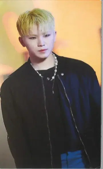 SEVENTEEN FACE THE SUN WOOZI 트레이딩 카드
