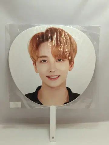 SEVENTEEN 2018 WE MAKE YOU 정한 부채