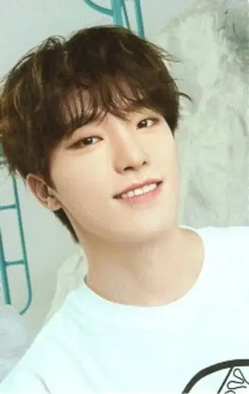 SEVENTEEN CARAT LAND 2023 DINO 트레이딩 카드 63/82