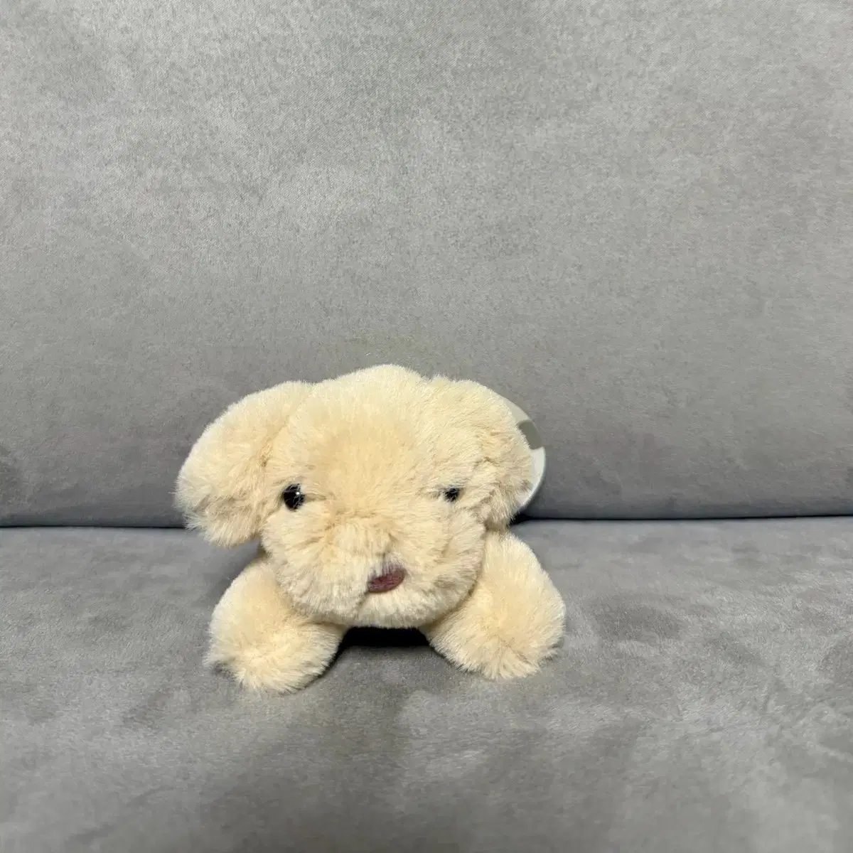 몽몽이 라잉 브라운 강아지 10cm 키링 인형