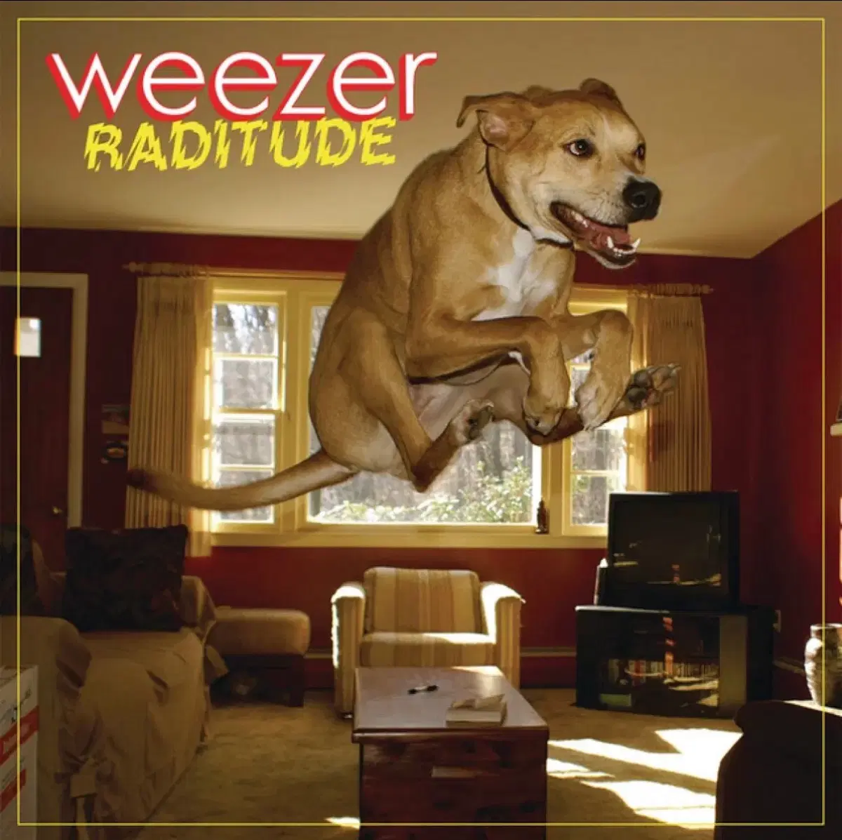위저 Raditutde 앨범 시디 CD