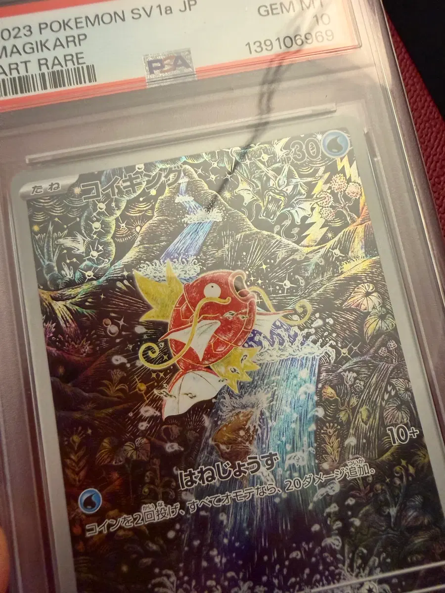 잉어킹 신지칸다 psa10