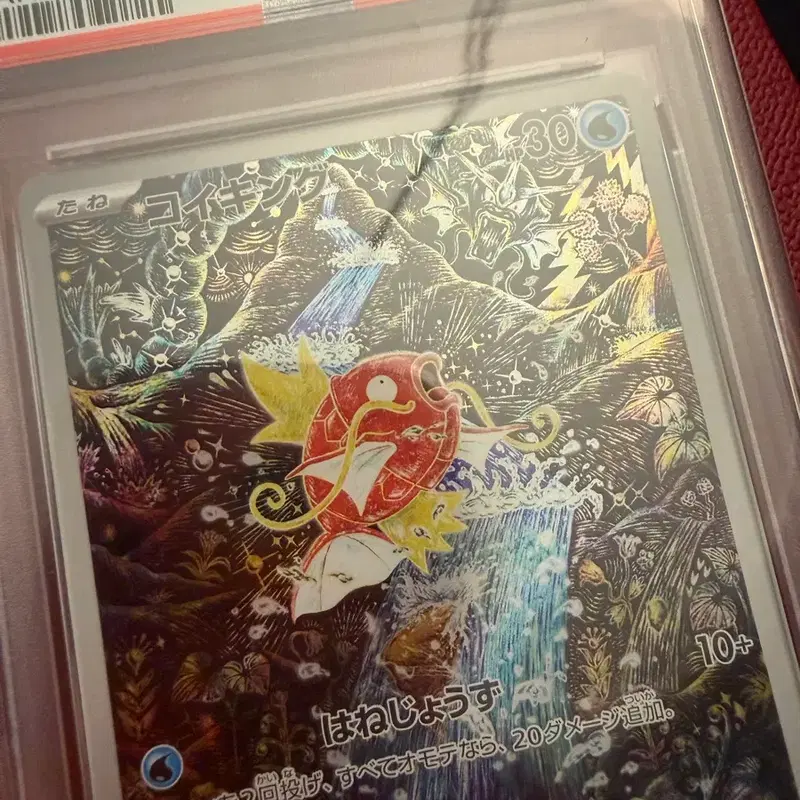 잉어킹 신지칸다 psa10