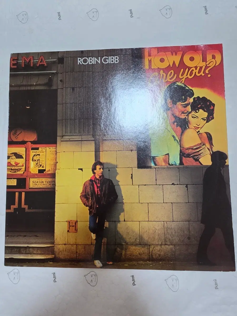 ROBIN GIBB LP 원반 (비지스 멤버)