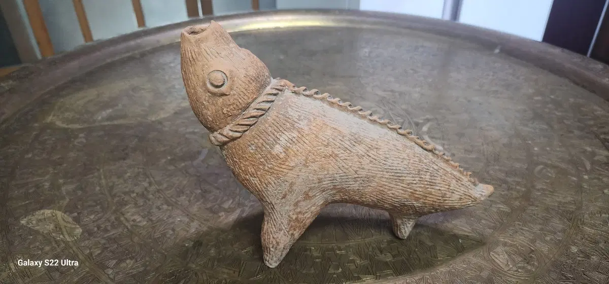 특이한동물형태 홍토기