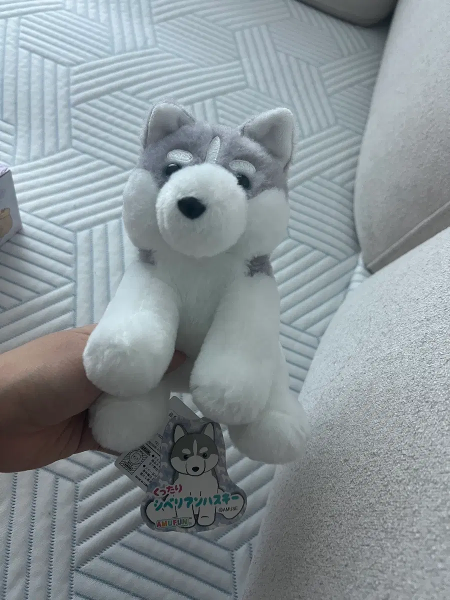 일본 어뮤즈 허스키 인형
