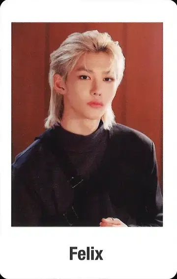 Stray Kids FELIX ALL IN OFFICIAL GOODS 트레이딩 카드 폴라로이드
