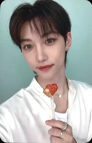 Stray Kids FELIX MAXIDENT MMT 트레이딩 카드