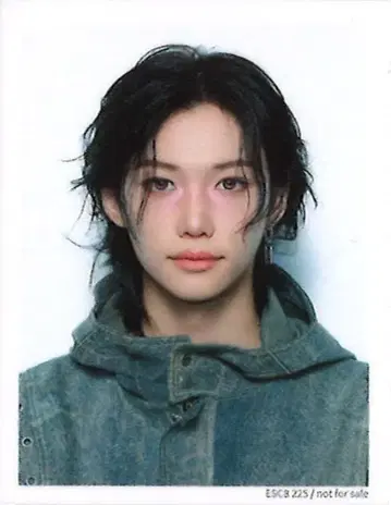 Stray Kids FELIX Hollow FC 한정판 ID 사진 A