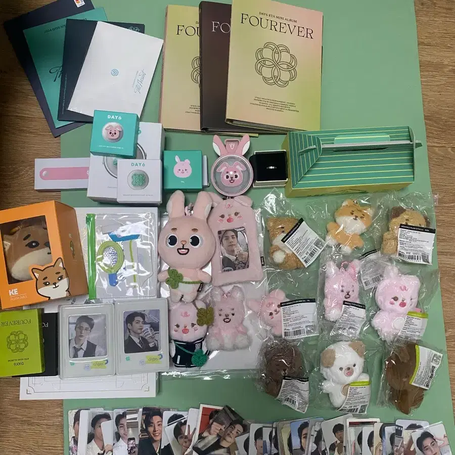 데이식스 굿즈 일괄처분