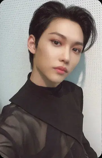 Stray Kids FELIX GREEN PROJECT 트레이딩 카드 A