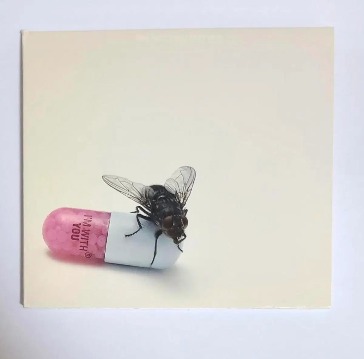 레드 핫 칠리 페퍼스 Im With You 앨범 시디 CD
