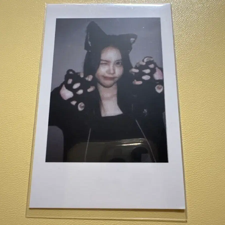 하츠투하츠 카르멘 폴라 양도