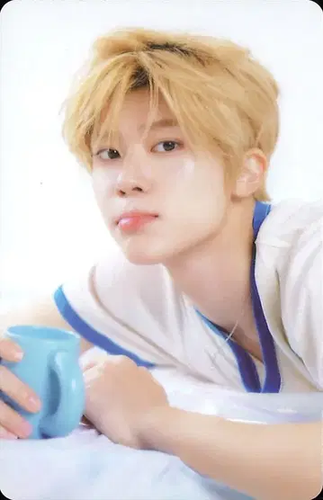NCT WISH SION 2025 SEASON'S GREETINGS RANDOM TRADING CARD B