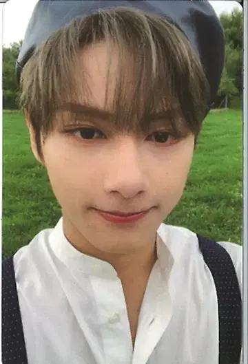 SEVENTEEN An Ode JUN 트레이딩 카드 그린