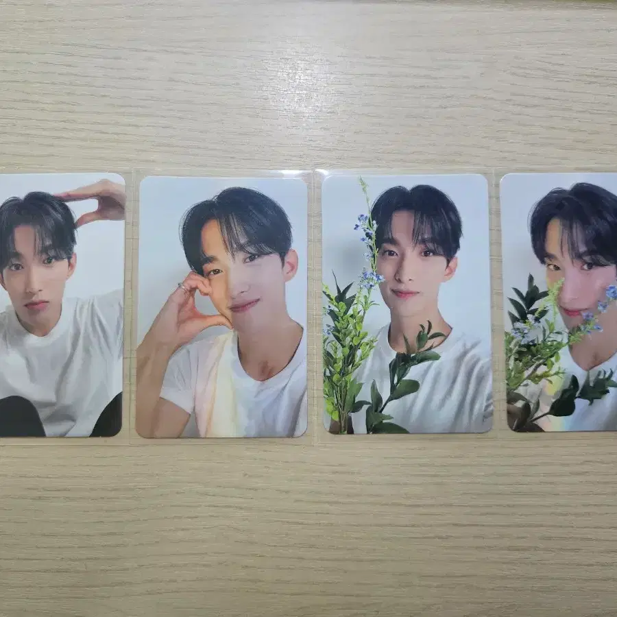 도겸 베스트앨범 캐럿반 포카 드볼 일괄 svt dk