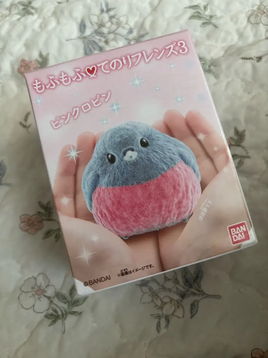 반다이 모후모후 테노리프렌즈 손바닥친구들 새 피규어 가챠 핑크 로빈 뱁새 시마에나가