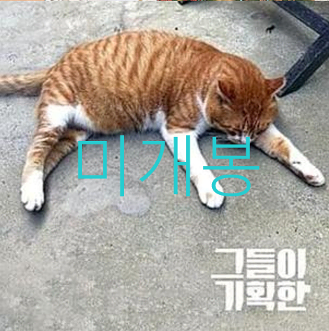 [미개봉] 그들이기획한 - 안녕 (CD)