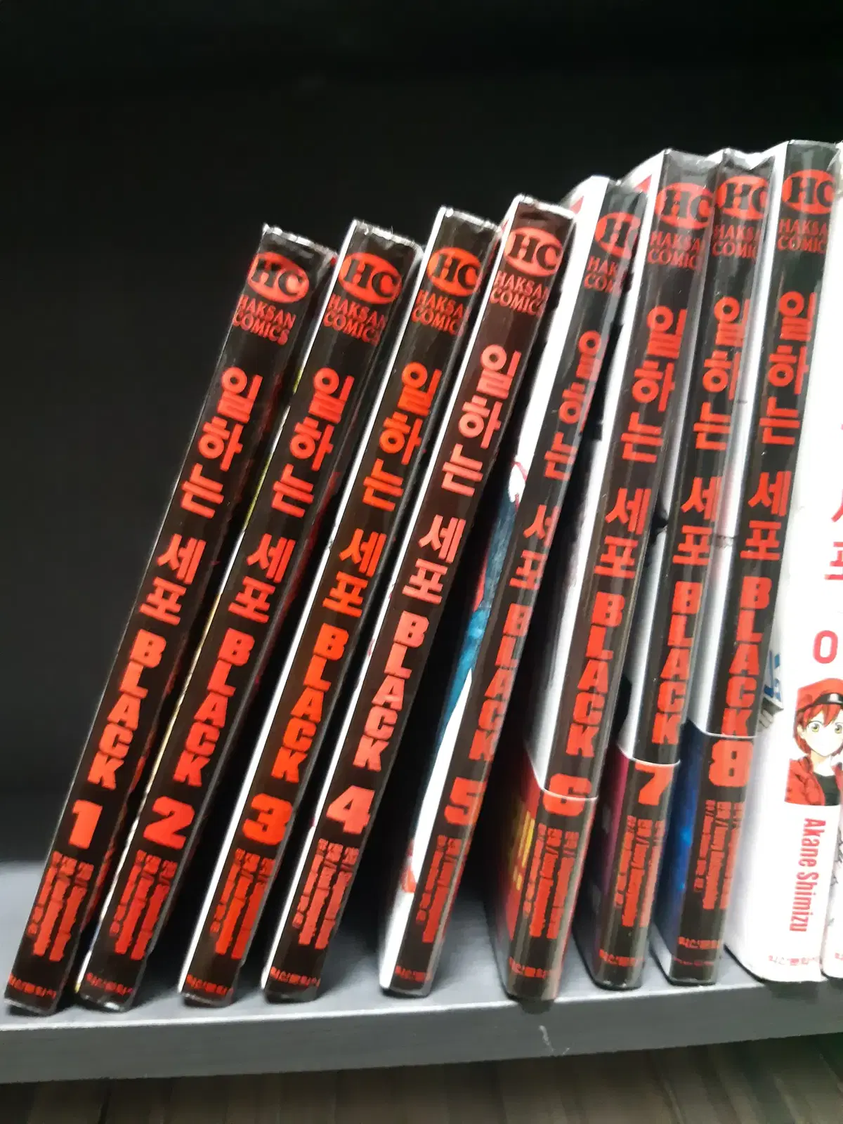 일하는 세포 BLACK 1-8 완결 중고만화책 만화짱많아 프로안전상점