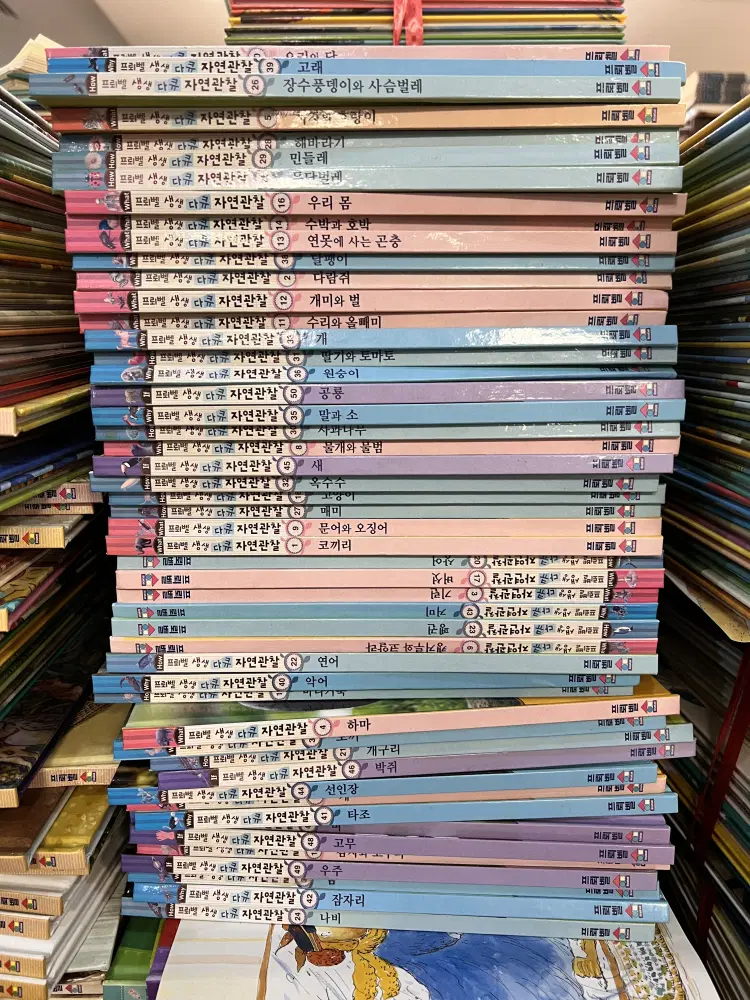 생생 다큐 자연관찰 프뢰벨 50권 세트 어린이책 중고책