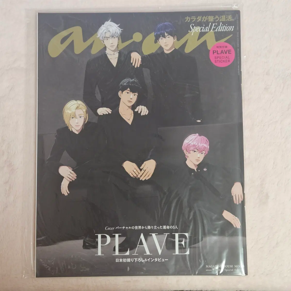 플레이브 잡지 ANAN NO.2425