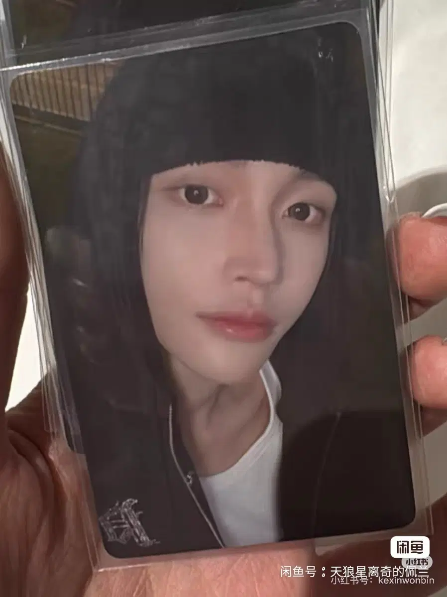 예판 라이즈 상하이 팝업 포카