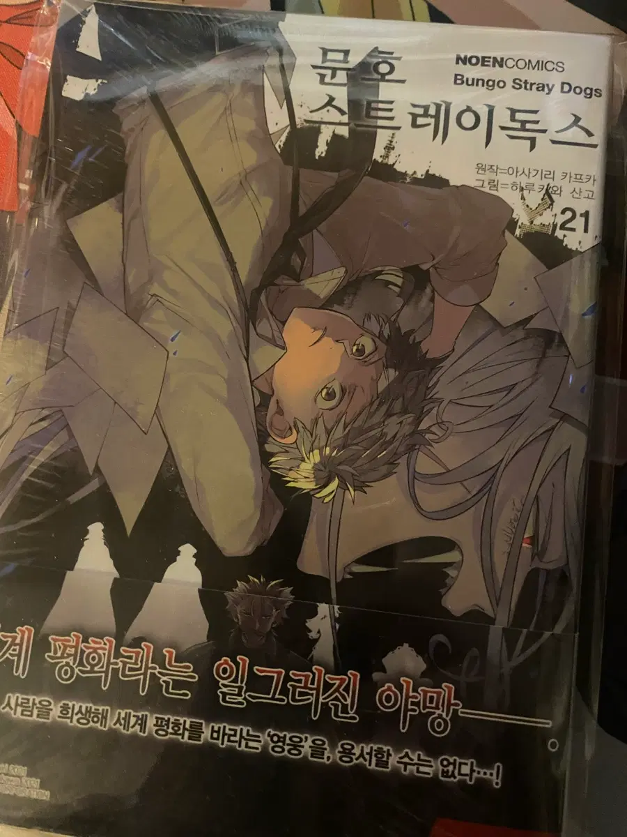 미개봉 초판) 문스독 문호 스트레이독스 21권