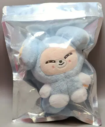 StrayKids 2026 RUN IT SEOUL I.N PLUSH in TASY