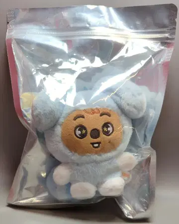 StrayKids 2026 RUN IT SEOUL Han PLUSH in TASY